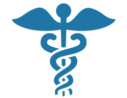 Medical/Pharmaceutical Icon